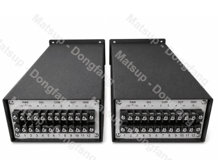 Индикатор  RDZW-2Na04-B02-C01-F01